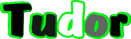 Tudor T MASCULINE -  UK - USA - IRL - AUS - NZ First Names 