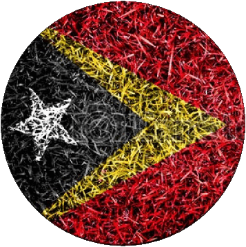 Round East Timor Asia Flags 