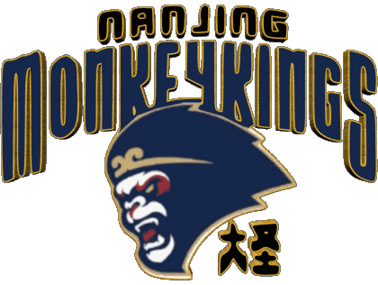 Nanjing Monkey King Chine Basketball Sports 