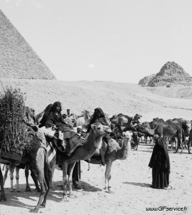 Stéreoscopique Wiggle 3D Effets Humour - Fun 