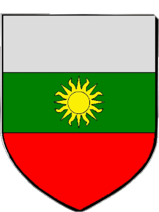 Blasone-Blasone LUCE 28 Dipartimenti - Città Francia Bandiere 