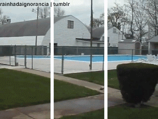 3D - Lignes -  Bandes 3D Effets Humour - Fun 