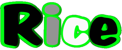 Rice R MASCULIN - France Prénoms 