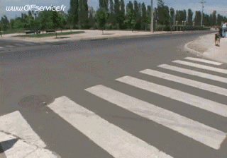 02 Hunde Tiere Humor -  Fun 