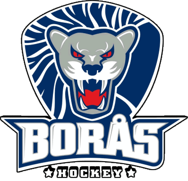 Boras HC Schweden Eishockey Sport 