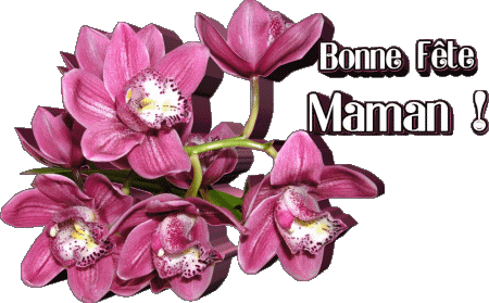 020 Bonne Fête Maman Francese Messagi 