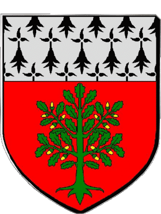 Blason-Blason CARQUEFOU 44 Départements - Villes France Drapeaux 