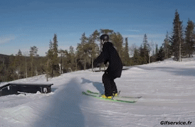Free Style Fail - Gamelles Ski Sports Humor -  Fun 