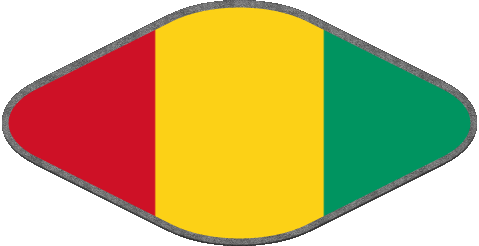 Oval 02 Guinea Africa Flags 