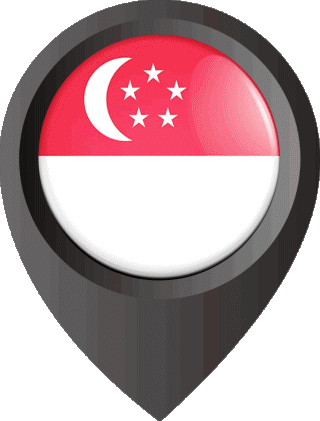 Standort-Pin Singapur Asien Fahnen 
