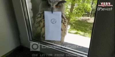 Rapace & Nocturne Oiseaux Animaux Humour - Fun 