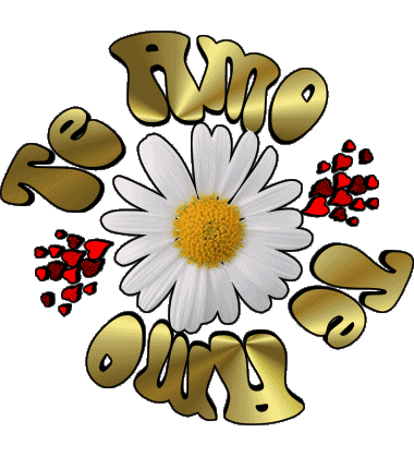 04 Te Amo Spanish Messages 