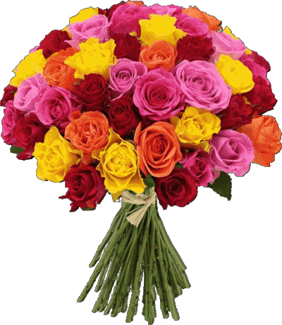 016 Transparent Background Floreale Buon Compleanno Italian Messages 