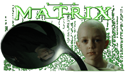 Englisches Logo Matrix V International Multimedia 