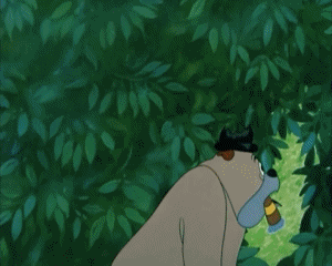 Droopy's Good Deed Tex Avery Cartoons TV Filme Multimedia 