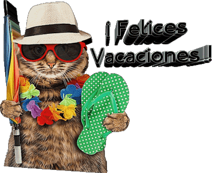 30 Sfondo trasparente Felices Vacaciones Spagnolo Messagi 