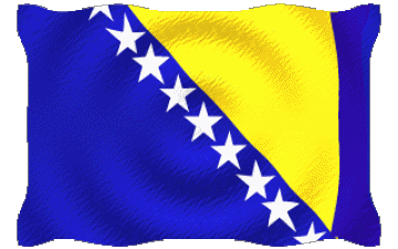 Ondulation Bosnie Herzegovine Europe Drapeaux 