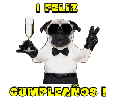 001 Animales Feliz Cumpleaños Spagnolo Messagi 