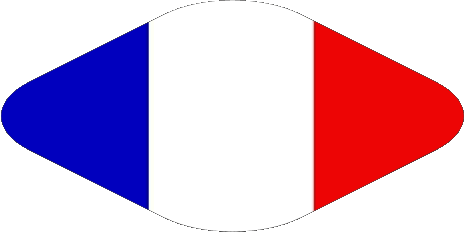 Oval National France Flags 