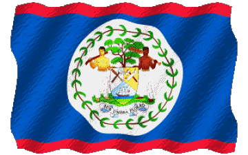 Welligkeit Belize Amerika Fahnen 