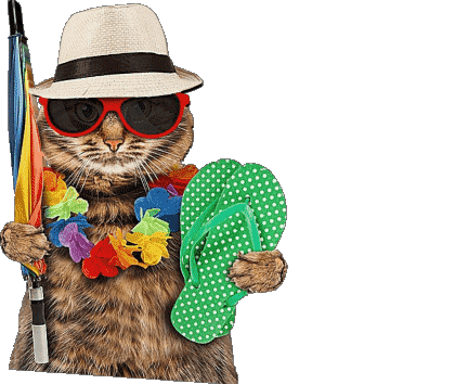 30 Sfondo trasparente Bonnes Vacances Francese Messagi 