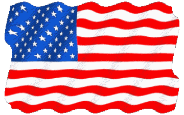 Sventola U.S.A - Nazionale America Bandiere 