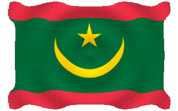 Ondulation Mauritanie Afrique Drapeaux 