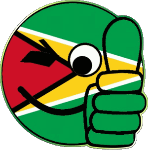 Faccina - OK Guyana America Bandiere 