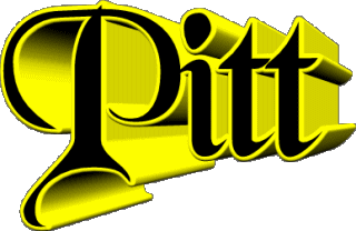 Pitt P MASCULIN - UK - USA Prénoms 