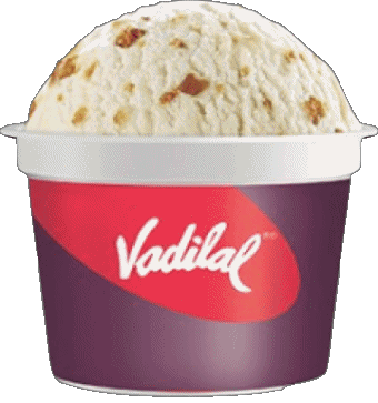Vadilal Ice cream Food 