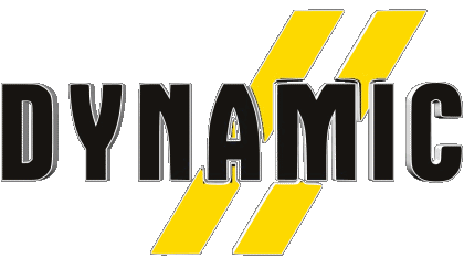 Dynamic Skiing - Equipment Sports 