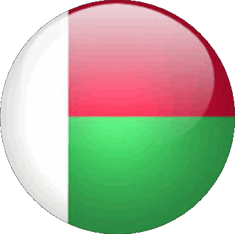 Round Madagascar Africa Flags 