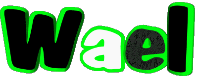 Wael W MASCULIN - Maghreb Musulman Prénoms 