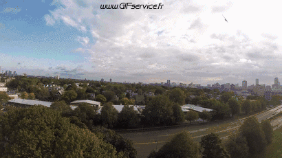 Rapace & Nocturne Oiseaux Animaux Humour - Fun 