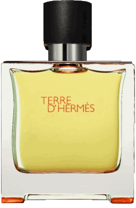 Hermès Alta Costura - Perfume Moda 