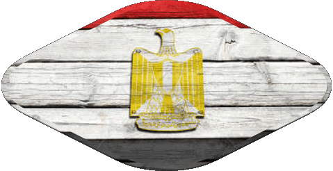 Ovale 02 Egypte Afrique Drapeaux 