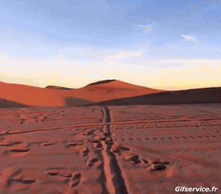 Cross Fun Win 02 Motorräder Transport Humor -  Fun 