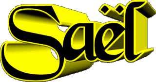 Saël S MASCULINE - France First Names 