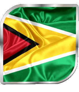 Square Guyana America Flags 