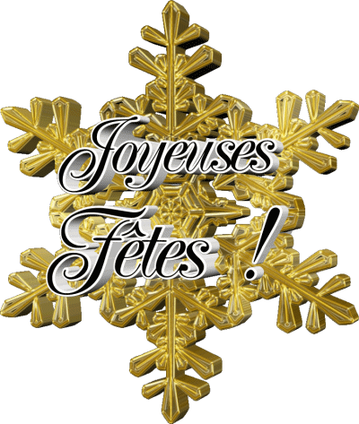 Serie 24 Joyeuses Fêtes (Noël) French Messages 