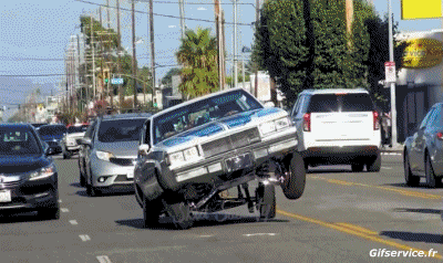 Lowriding Autos Transport Humor -  Fun 