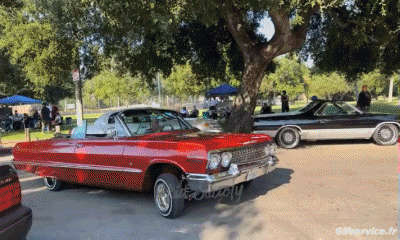 Lowriding Autos Transport Humor -  Fun 