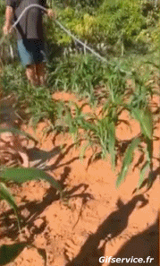 Serie 01 Funny Baby PEOPLE Humor -  Fun 