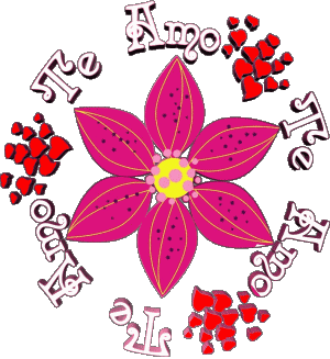 01 Te Amo Spagnolo Messagi 