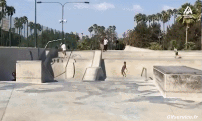 Free Style Fun - Win 01 Skateboard Sport Humor -  Fun 