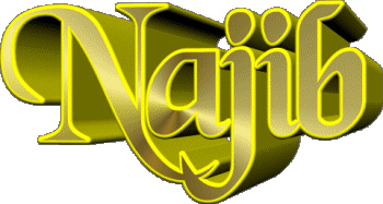 Najib N MANN - Maghreb Muslim Vorname 