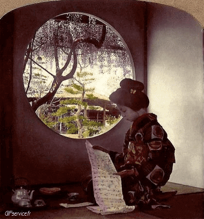 Stéreoscopique Wiggle Efectos 3d Humor - Fun 