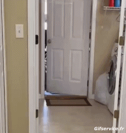 Serie 01 Broma GENTE Humor - Fun 