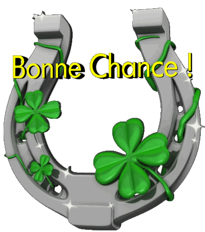 04 Transparent Background Bonne Chance French Messages 