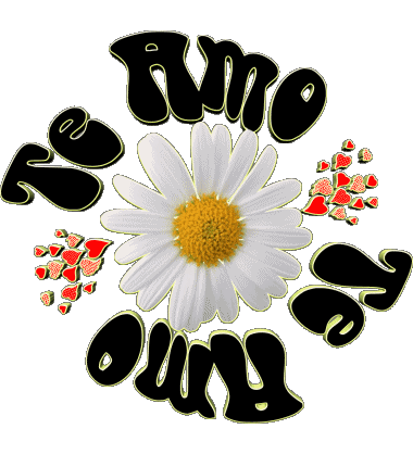 04 Te Amo Spagnolo Messagi 